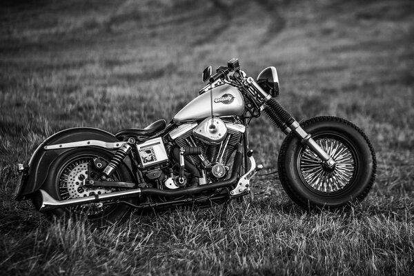 Imperishable and lonely Harley-Davidson in a gray field