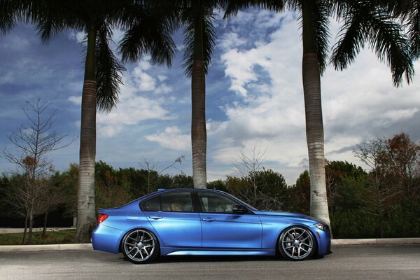 Voiture de sport sur fond d arbres verts