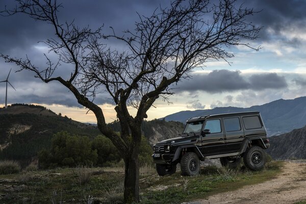 Helicum noir en BRABUS