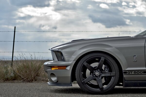 Ford Mustang argenté dans la nature