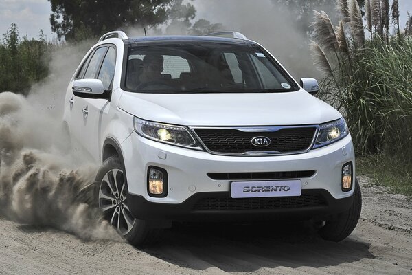 Cruce blanco Kia Sorento