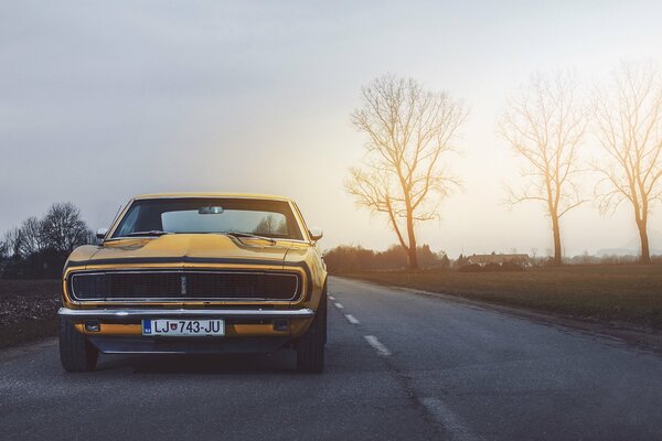 Old yellow chevrolet on the road