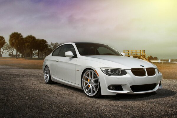 White BMW in nature in a beautiful perspective