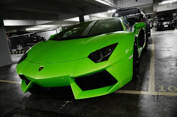 Voiture verte Lamborghini avec avender