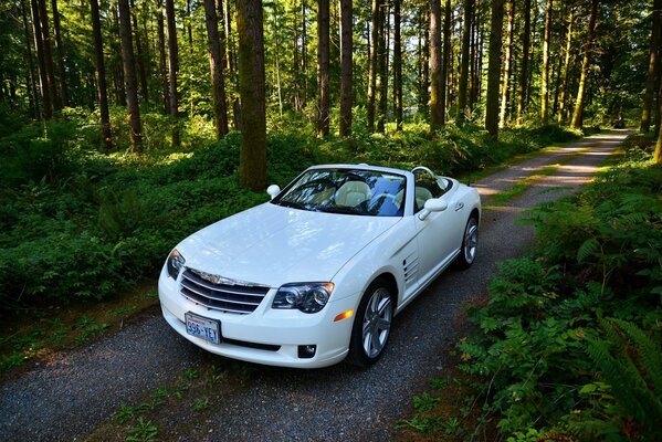 Chrysler convertible blanco en el camino forestal