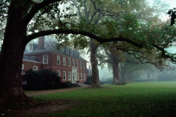 Casa con prato tra gli alberi