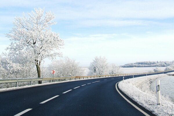 Paesaggio di pista innevata con alberi