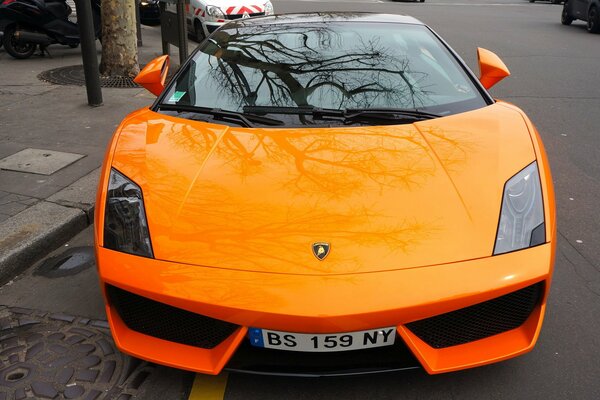 Glänzender orange Supersportwagen Lamborghini Gallardo