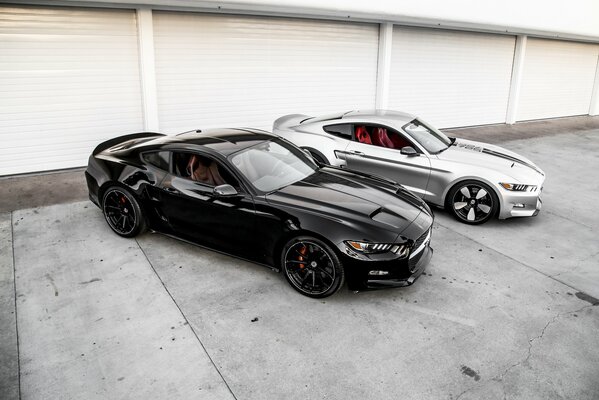 Two sports mustangs as yin-yang