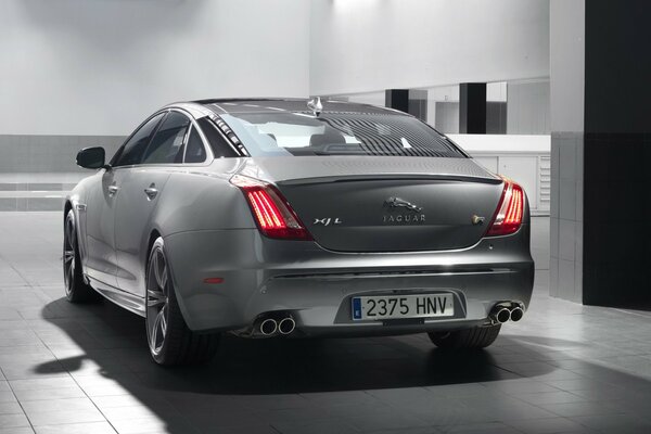 Grey Jaguar car rear