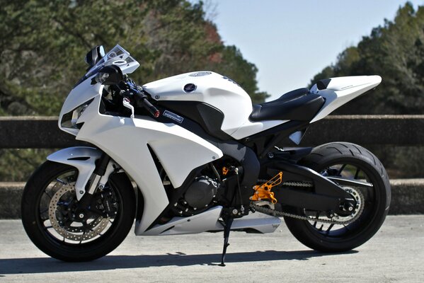 Blanc moto Honda CBR1000RR vue latérale