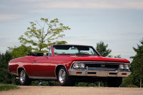 Chevrolet rouge sur fond de forêt verte