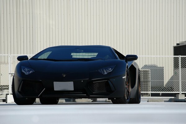 Splendida auto Lamborghini nero opaco, su sfondo muro bianco