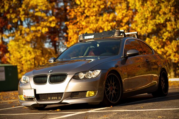 Voiture garée près des arbres jaunes