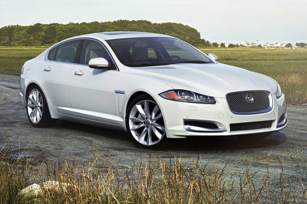 A car for any roads. New Jaguar XF Premium sedan