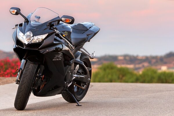 Black Suzuki motorcycle on a nature background