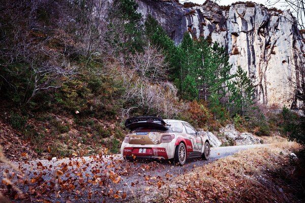 Solcando le distese forestali della citroen ds3