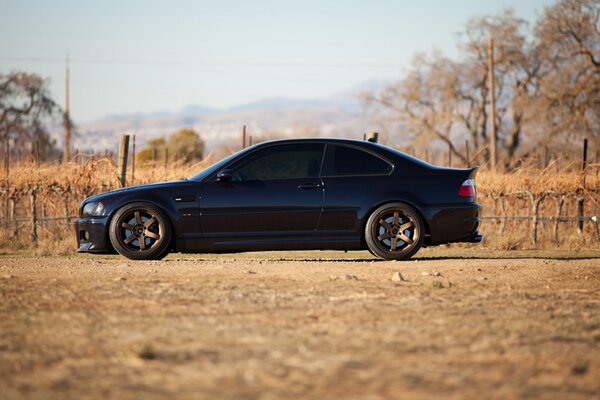 Negro BMW perfil en la naturaleza