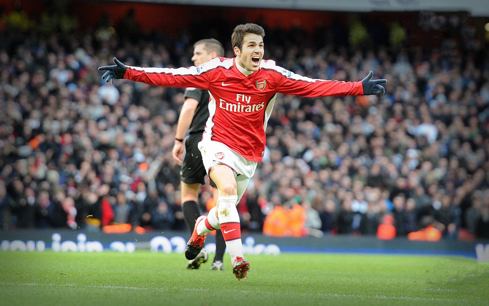 premier league arsenal fabregas player the game stadium football joy emotions fans lawn match the fight goal red form