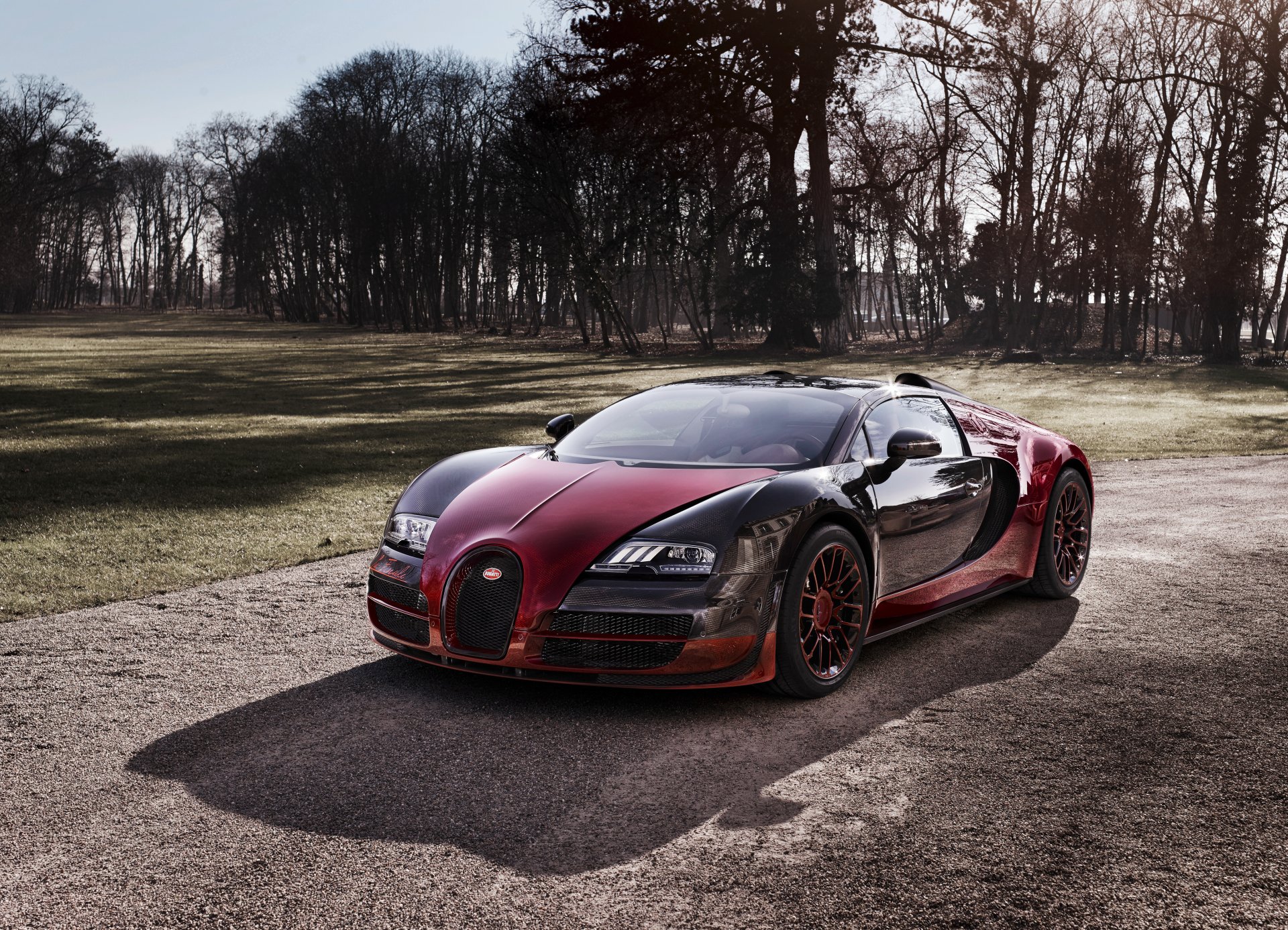 2015 bugatti veyron grand sport vitesse la finale bugatti veyron