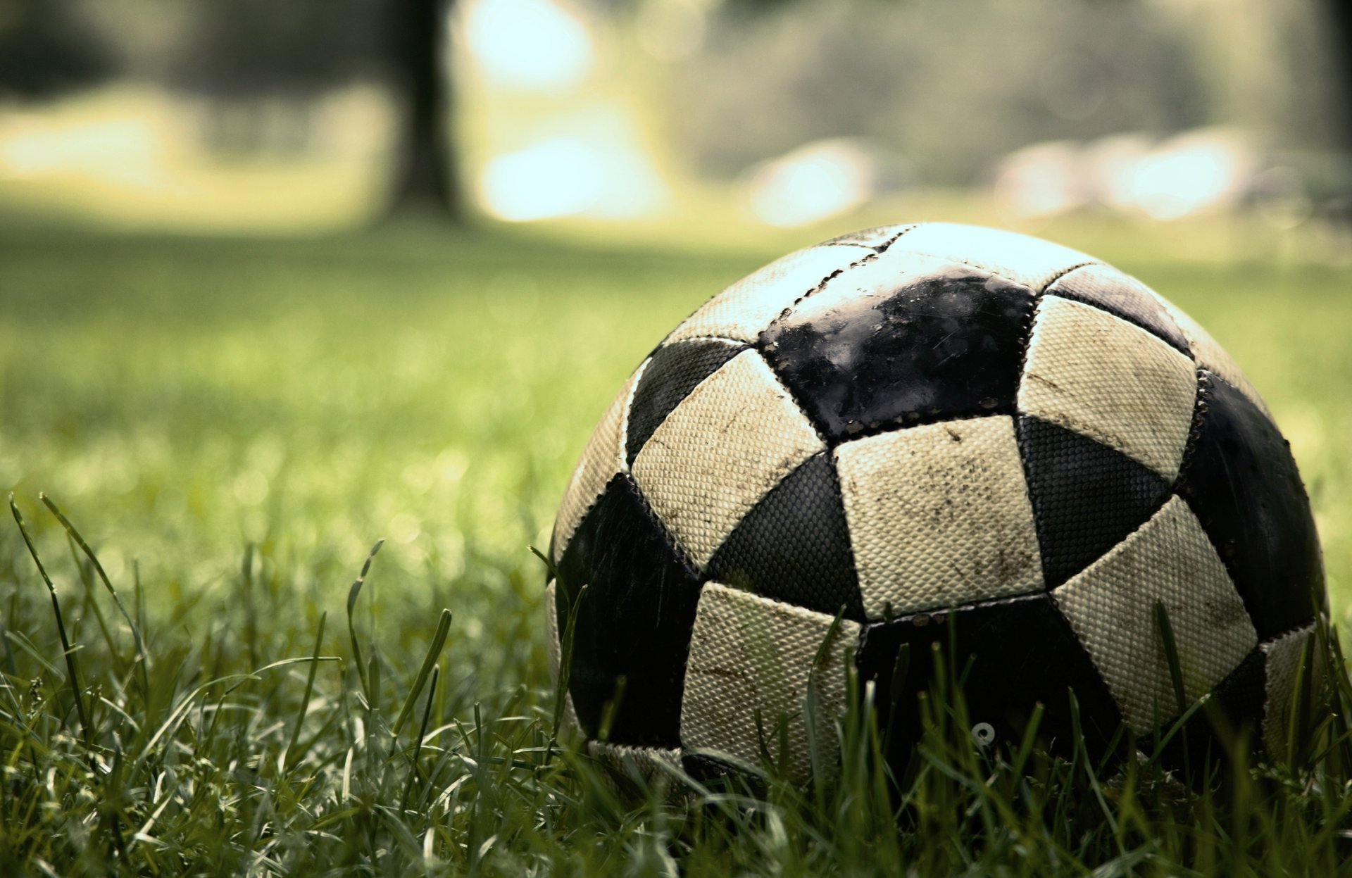 macro juego deporte pelota fútbol fútbol césped juego hierba partido barro pantano balón de fútbol greens deporte sportinventar