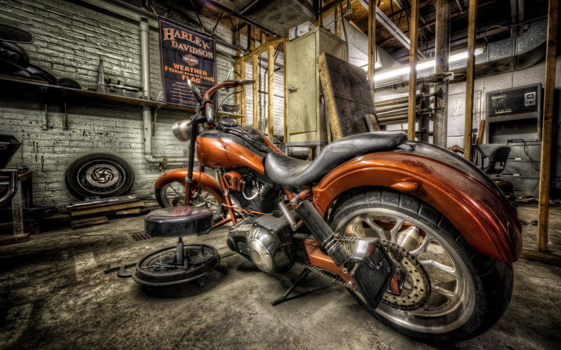 harley paseo bicicleta