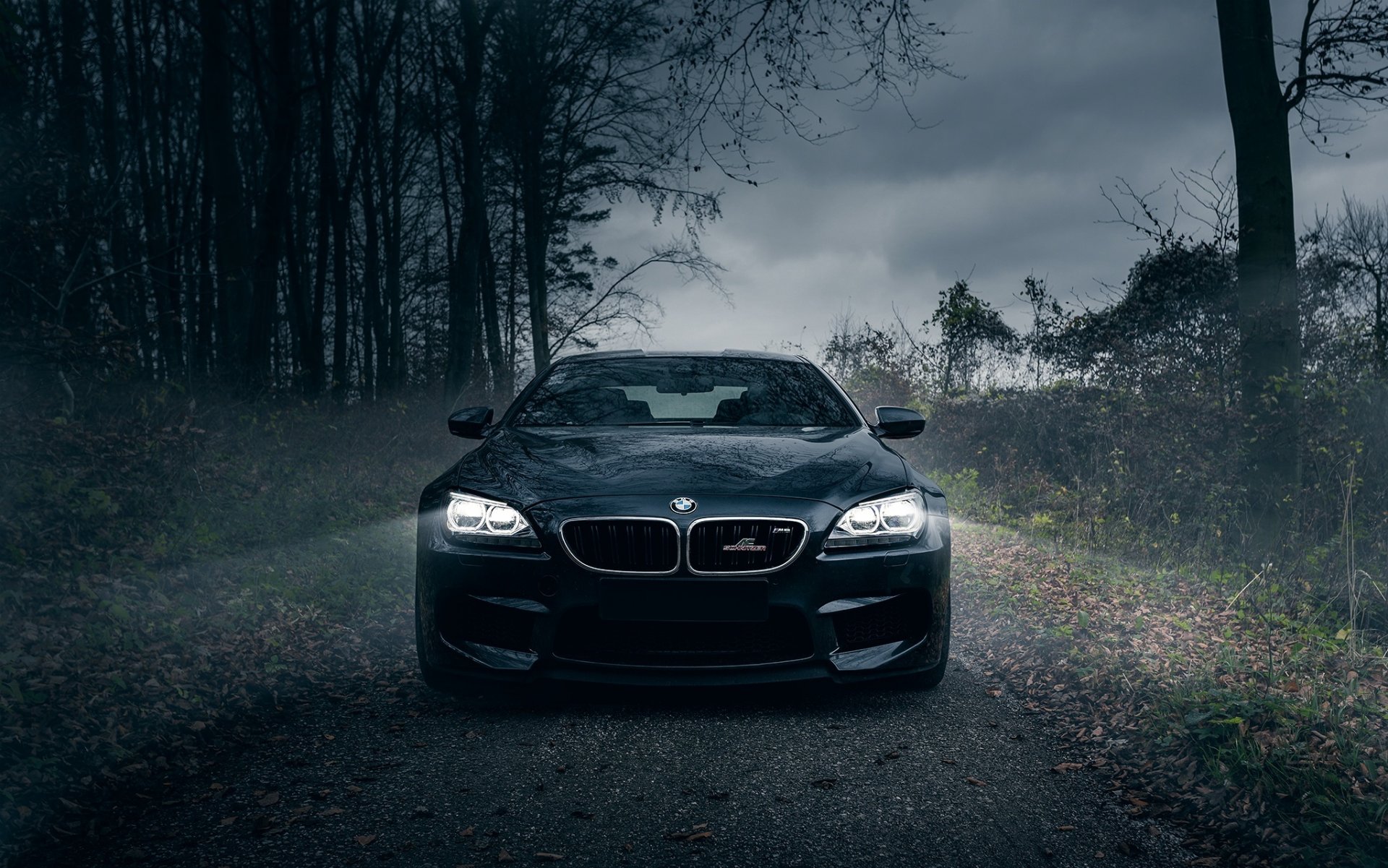 bmw m6 ac schnitzer dunkel wald pferde