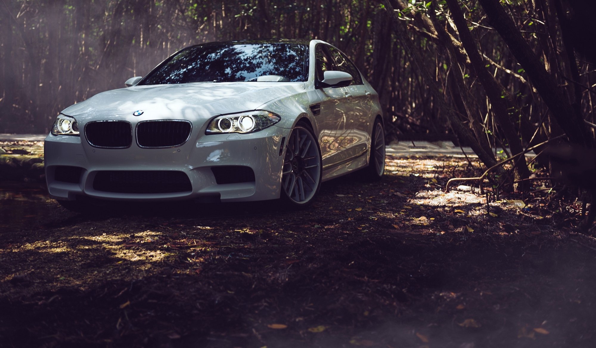 bmw f10 m5 tuning white bmw leave