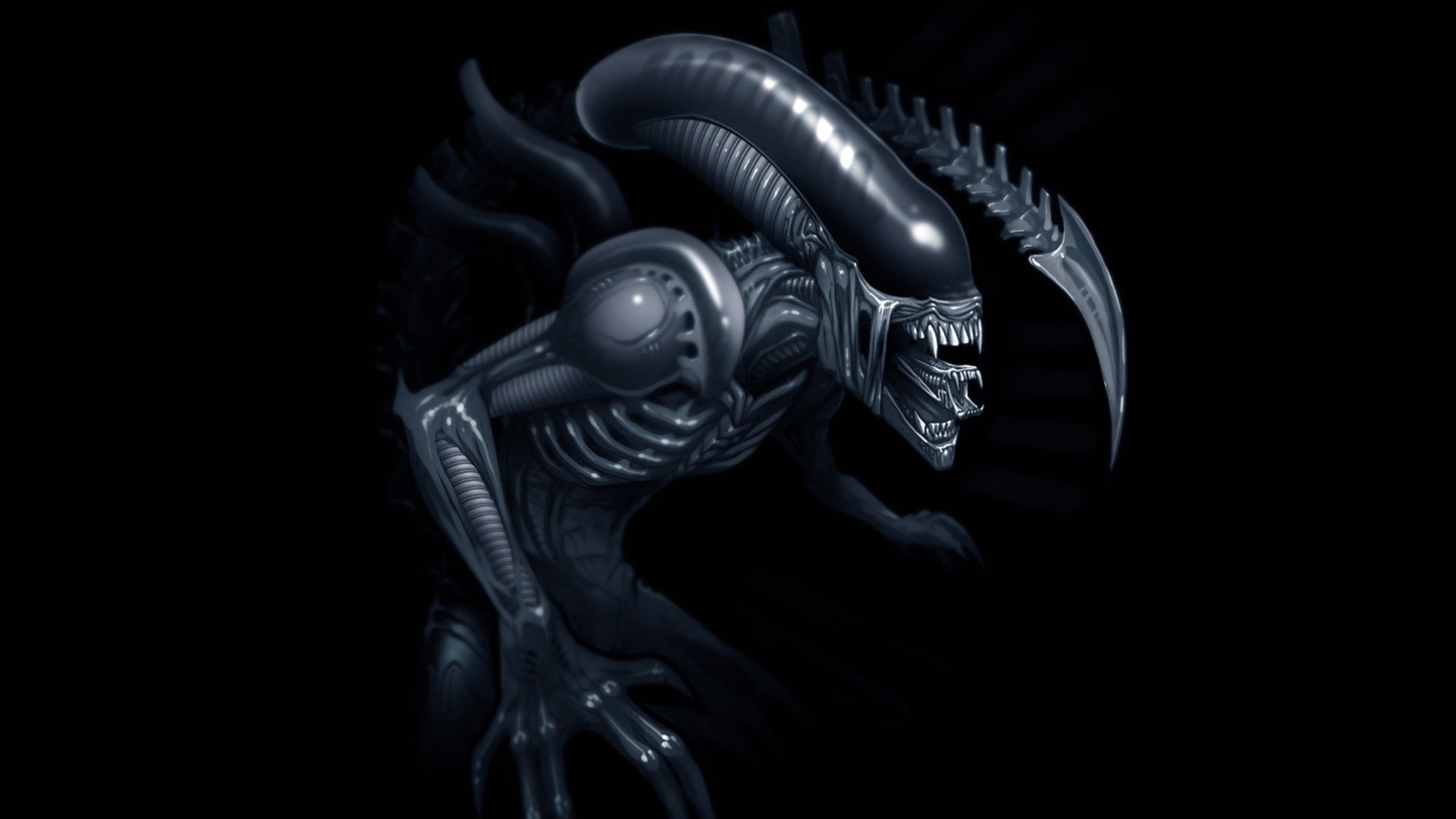 alien alien xenomorph xenomorph weyland-yutani sulaco lv-426 ripley movies fiction black background dark background