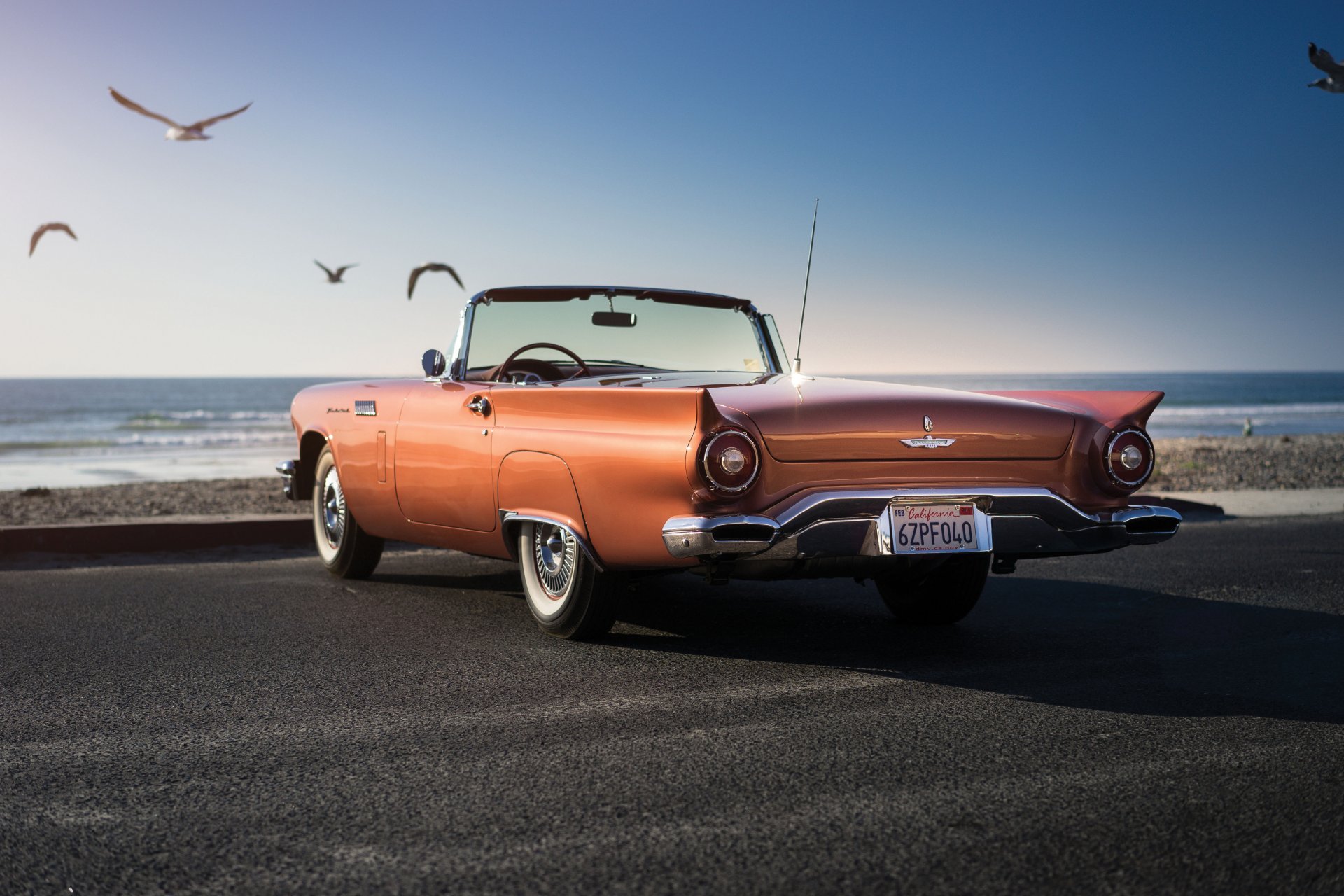 1957 ford thunderbird t-bird special supercharged classic gull