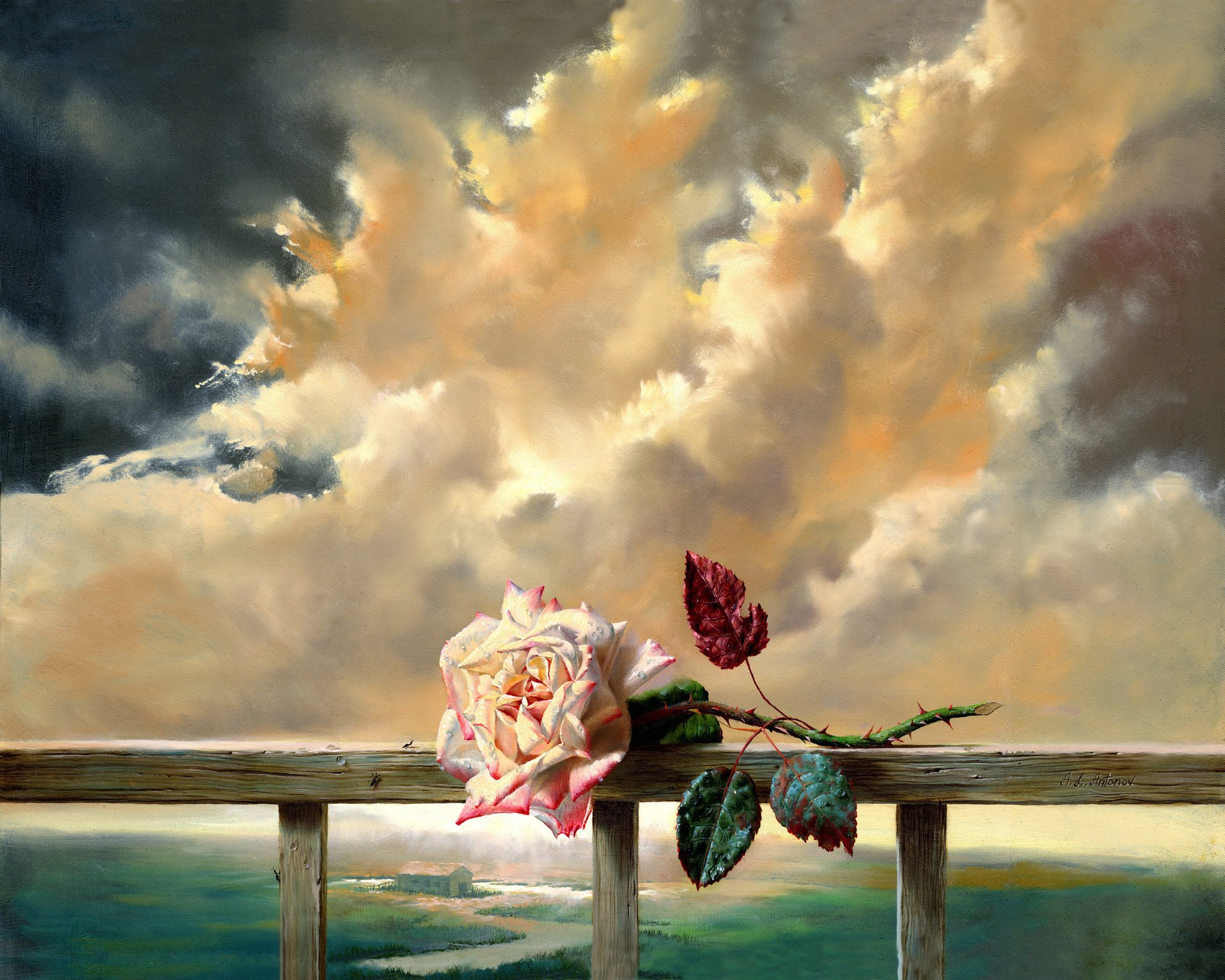 flowers rose clouds freshness painting flower the sky