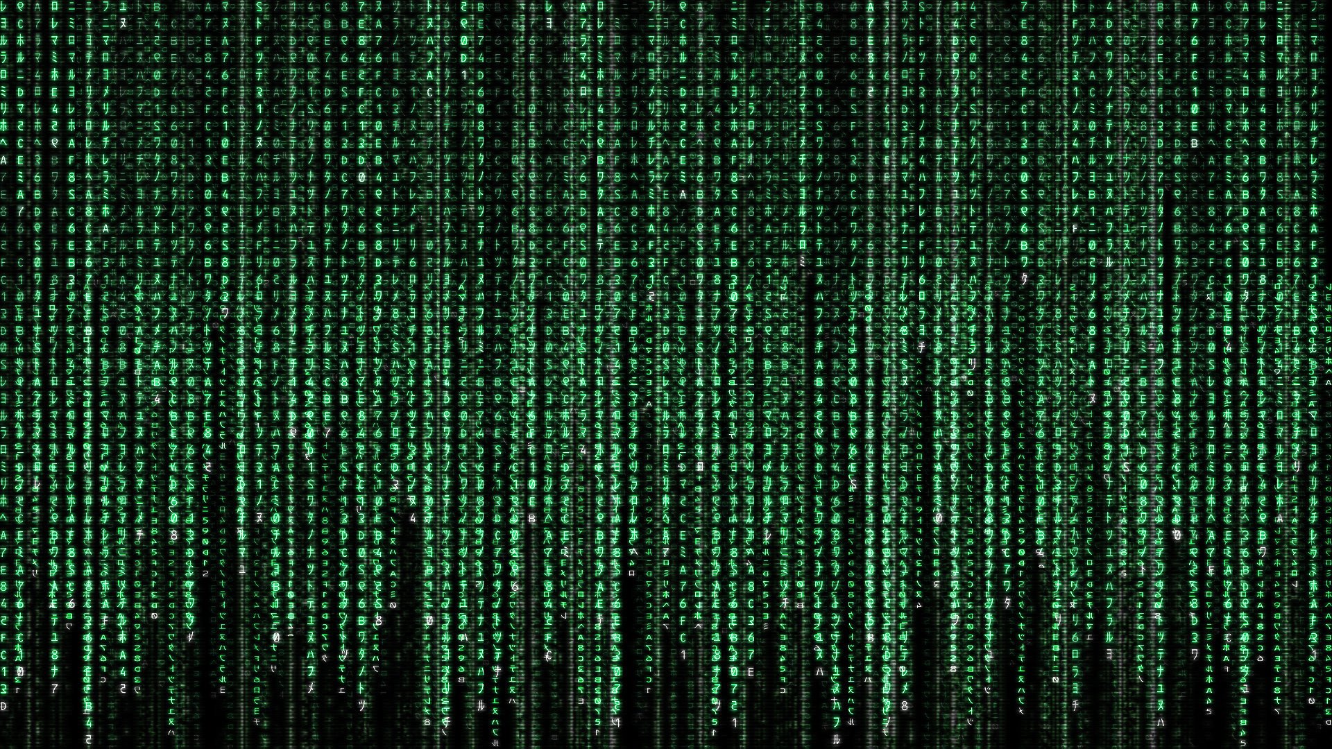 matrix matrix codice pioggia parete verde