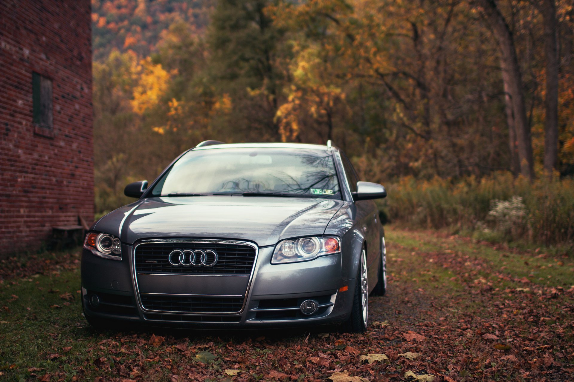 audi a4 audi station wagon autumn foliage