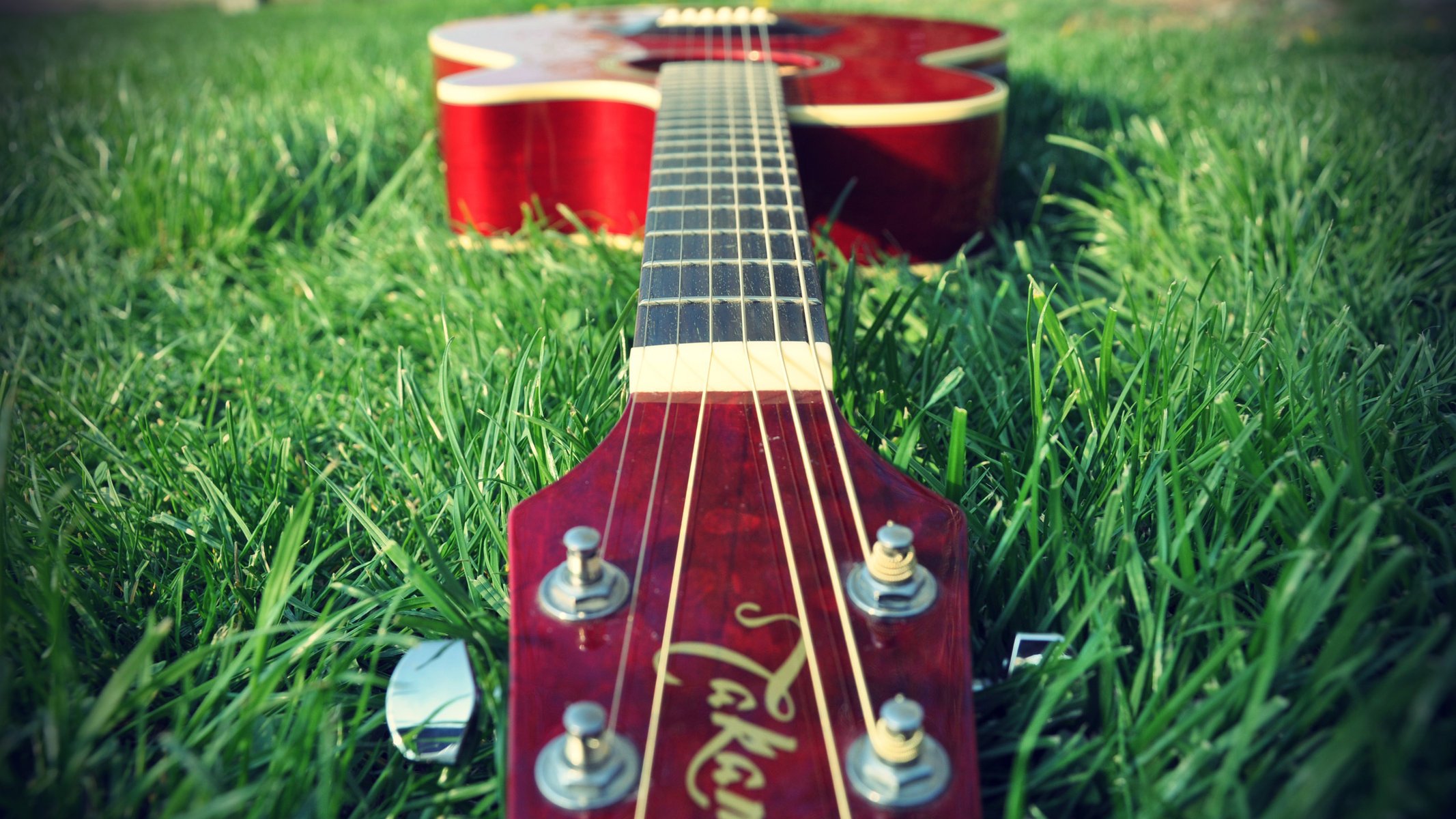 instrumento musical naturaleza guitarra hierba cuerdas macro verde