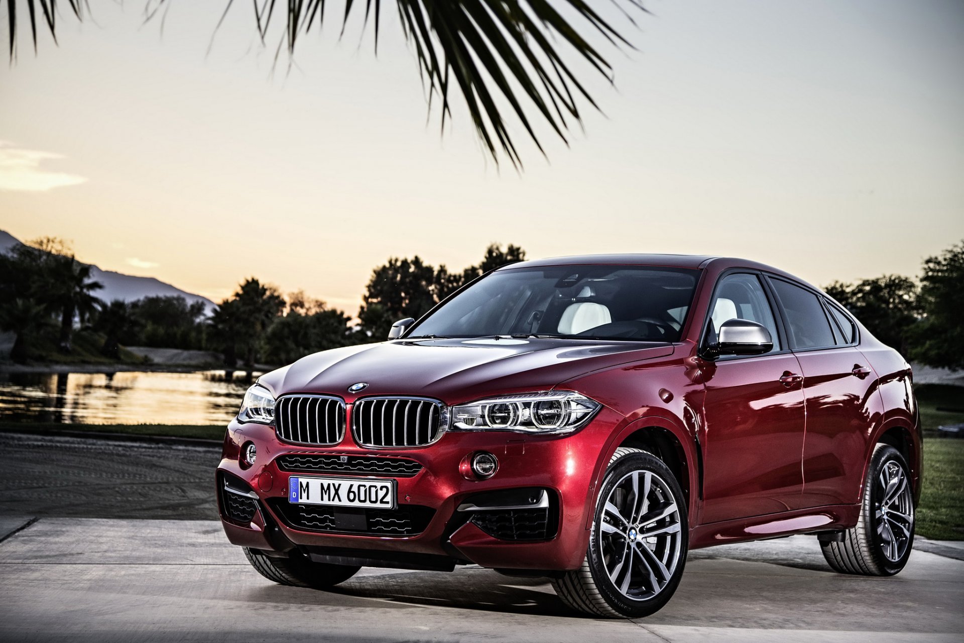 bmw 2014 x6 f16 coche cereza