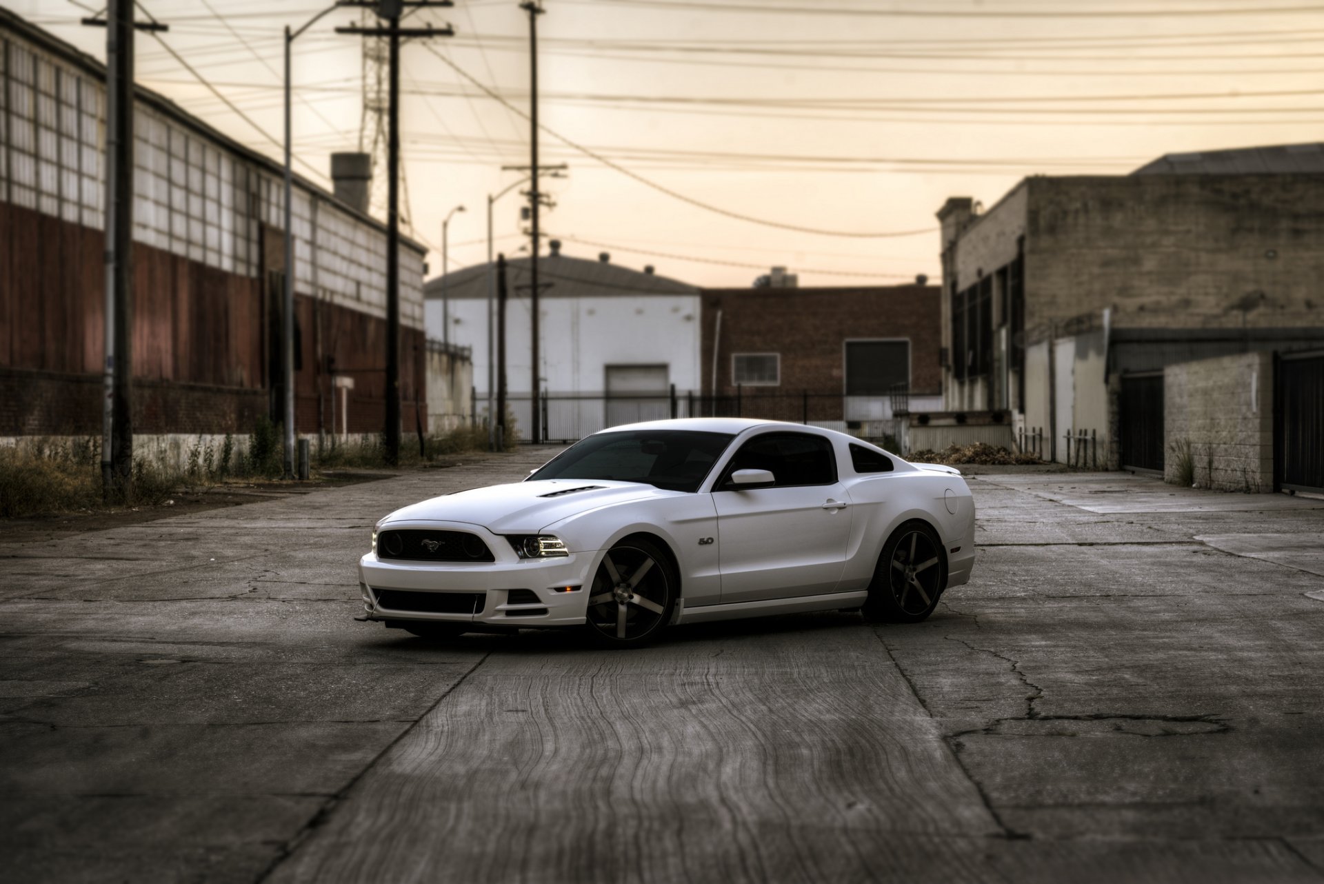 ford mustang gt bianco edifici pilastri beaton crepe