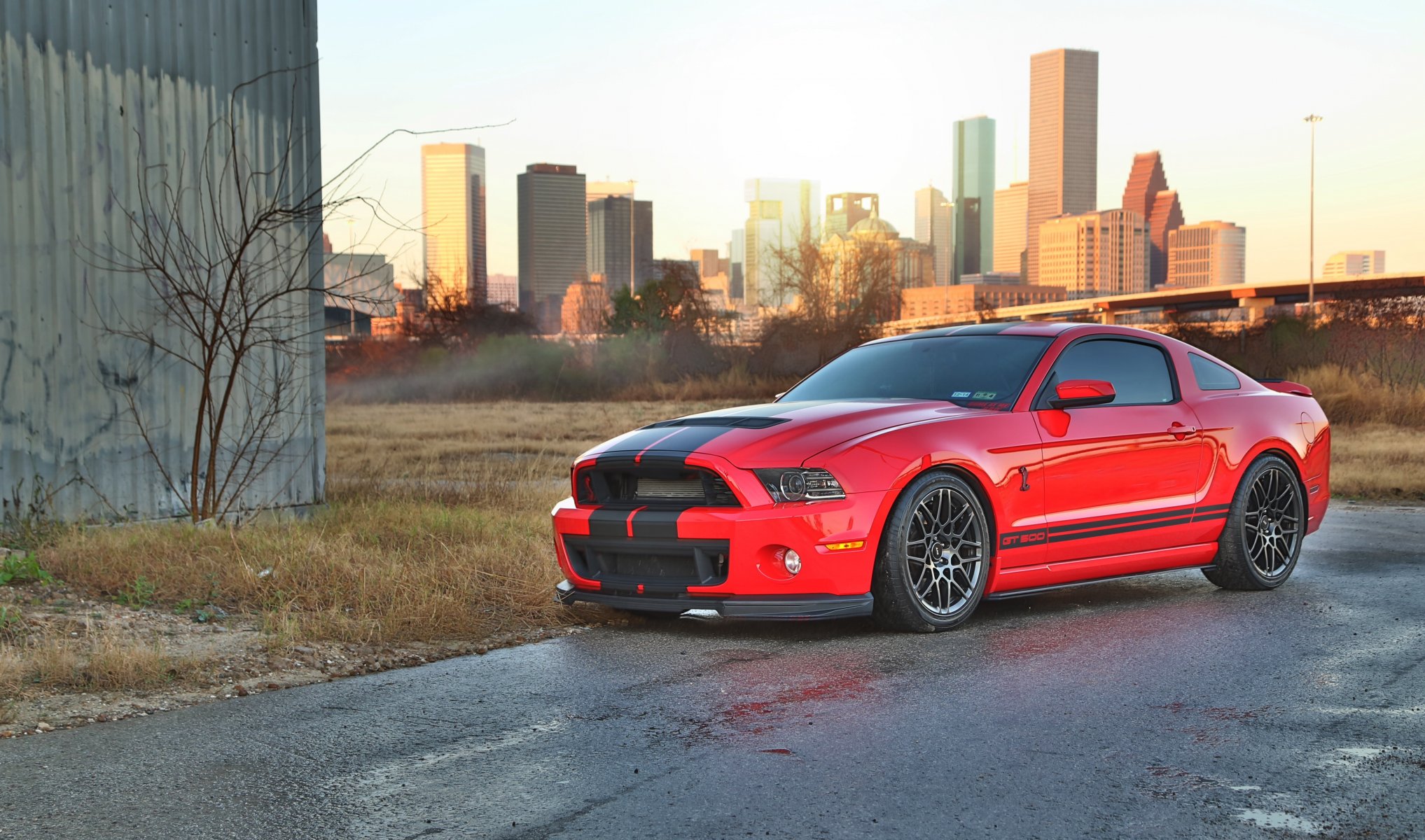 ford mustang cobra shelby gt500 red