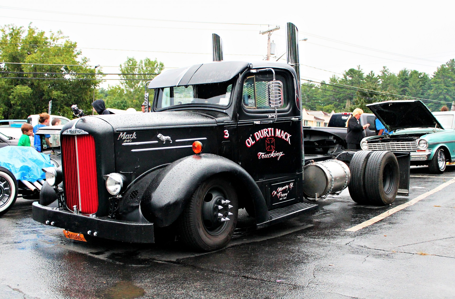 the old classic truck poppy