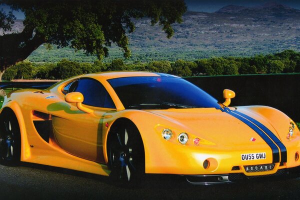 Super Fast yellow sports car