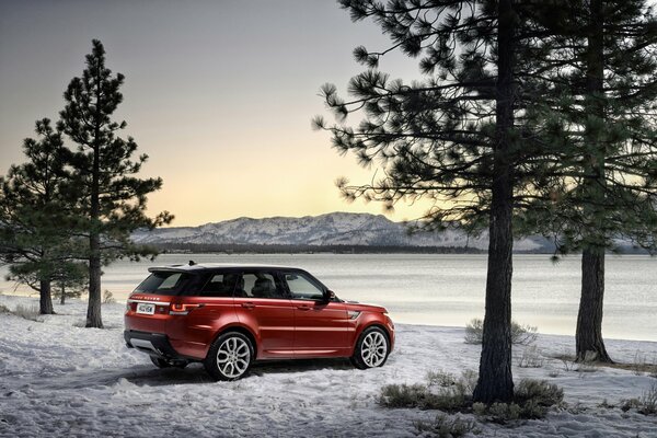 Roter Land Rover im Winterwald