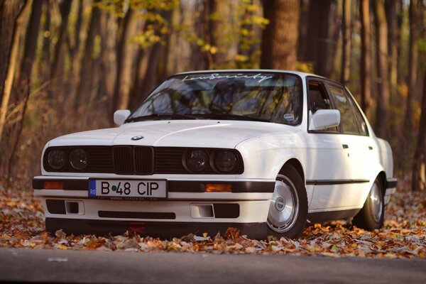 Voiture blanche debout dans la forêt d automne