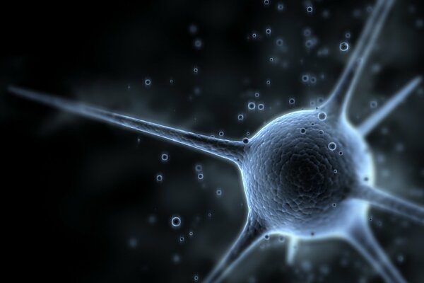 Neuron as a brain cell and its signal