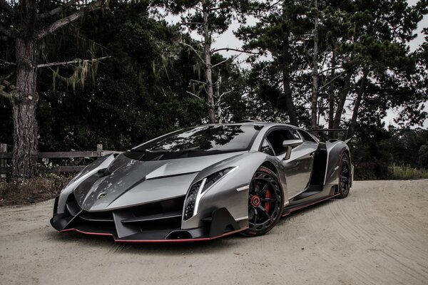 Lamborghini Veneno Supercar szare tło