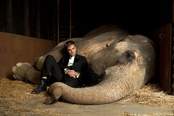 Robert Pattison avec l éléphant