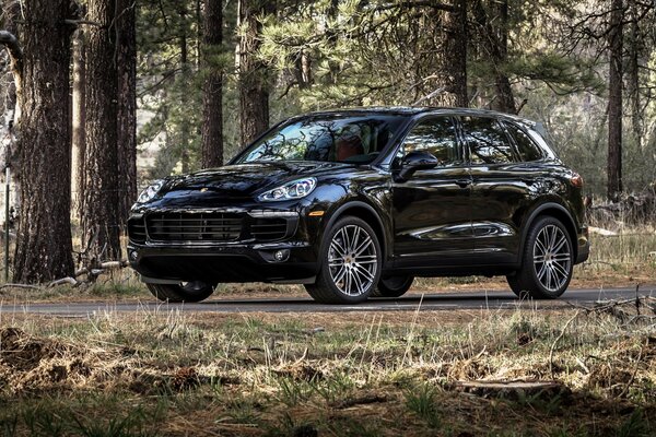 Porsche Cayenne nera guida su una strada forestale