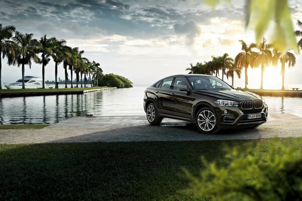 Cool car on the background of the ocean and palm trees