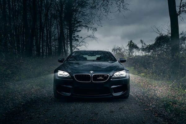 Im dunklen Wald fährt ein bmw m6