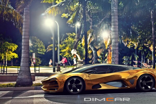 Dmitry Lazarev with Lada gold 2014 car