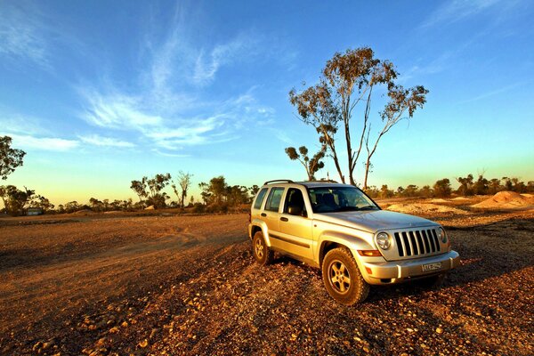 SUV Jeep Auto auf dem Hintergrund von Bäumen und blauem Himmel