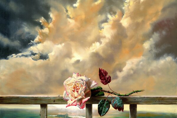 The freshness of a rose in the clouds